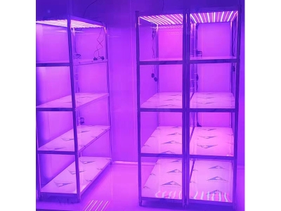 光照强度可调组培架
